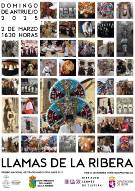 ANTRUEJO LLAMAS DE LA RIBERA 2025